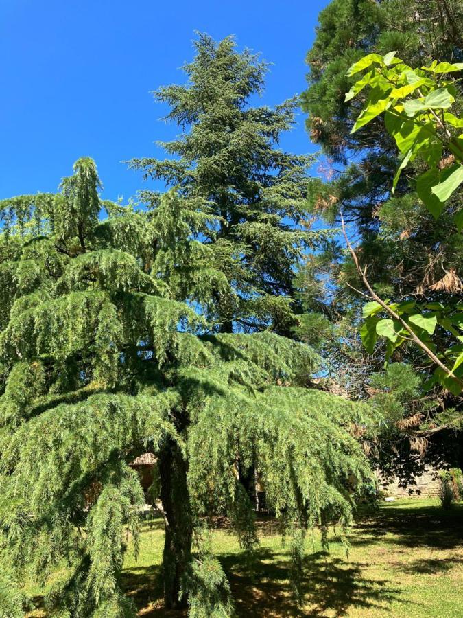 Le Clos De Quintaine Chambres D'Hotes Clessé Εξωτερικό φωτογραφία